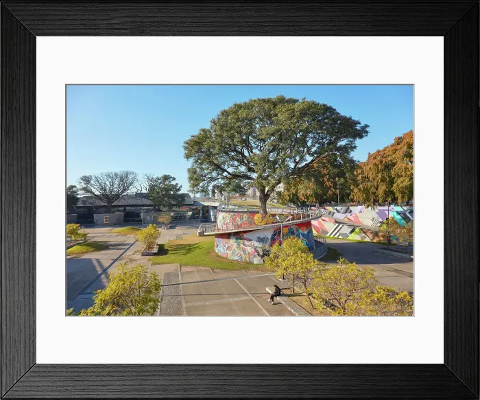 Framed Print : A lone tree in front of the Buenos Aires CEC (Convention Center), Recoleta, Buenos Aires, Argentina Framed Print : A lone tree in front of the Buenos Aires CEC (Convention Center), Recoleta, Buenos Aires, Argentina