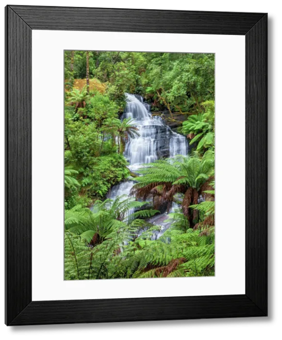 Framed Print : Australia, Victoria, Great Otway National Park, Triplet Falls