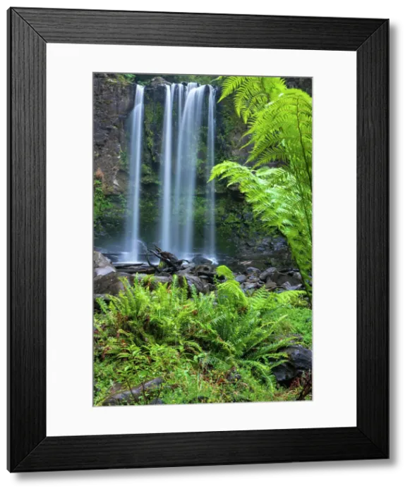 Framed Print : Australia, Victoria, Great Otway National Park, Hopetoun Falls