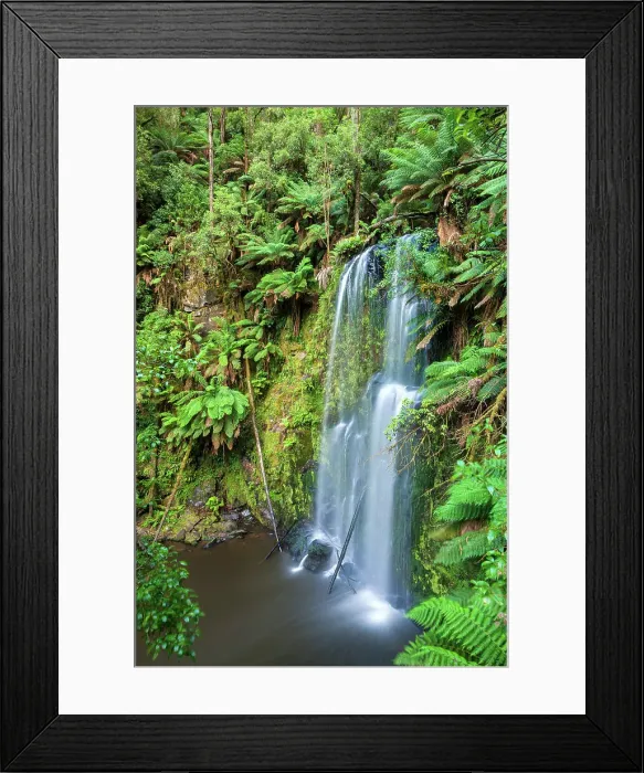 Framed Print : Australia, Victoria, Great Otway National Park, Beauchamp Falls Framed Print : Australia, Victoria, Great Otway National Park, Beauchamp Falls