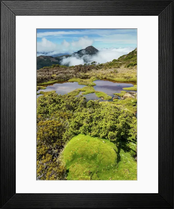 Framed Print : Australia, Tasmania, Southwest National Park, Mount Anne plateau Framed Print : Australia, Tasmania, Southwest National Park, Mount Anne plateau