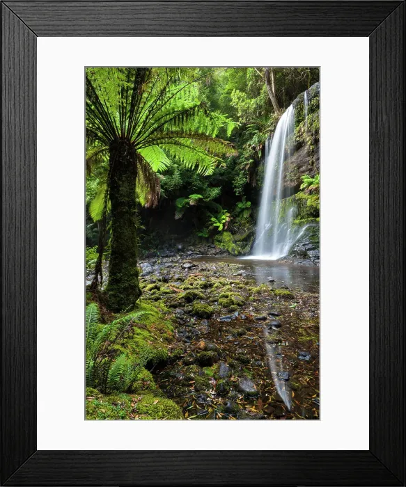 Framed Print : Australia, Tasmania, Mount Field National Park, Russell Falls Framed Print : Australia, Tasmania, Mount Field National Park, Russell Falls