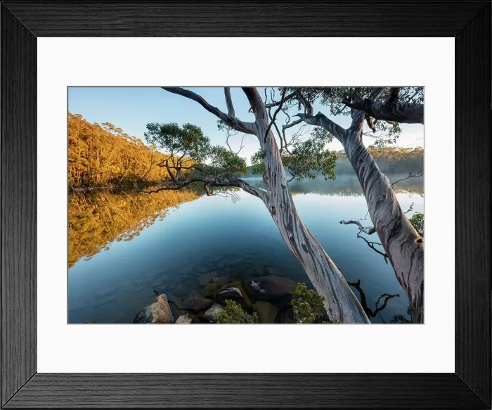 Framed Print : Australia, Tasmania, Mount Field National Park, Lake Dobson Framed Print : Australia, Tasmania, Mount Field National Park, Lake Dobson