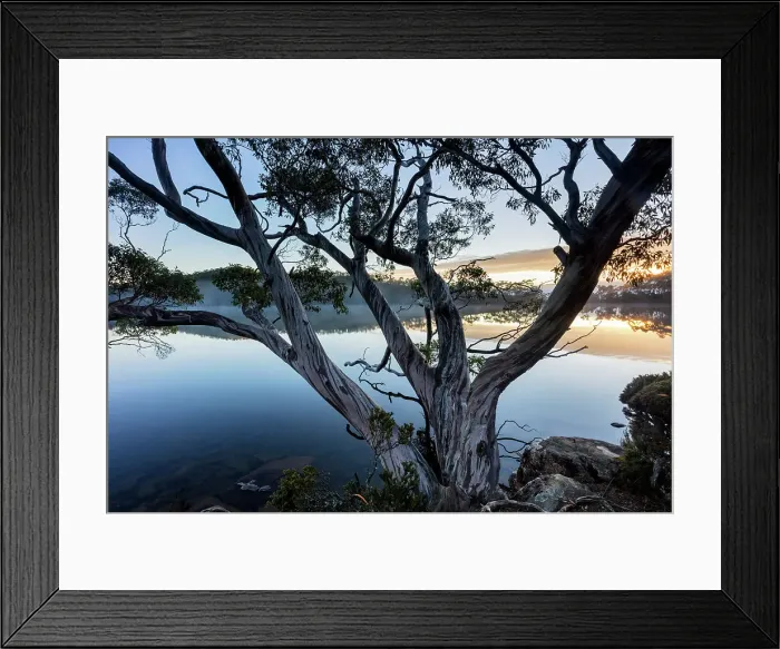Framed Print : Australia, Tasmania, Mount Field National Park, Lake Dobson