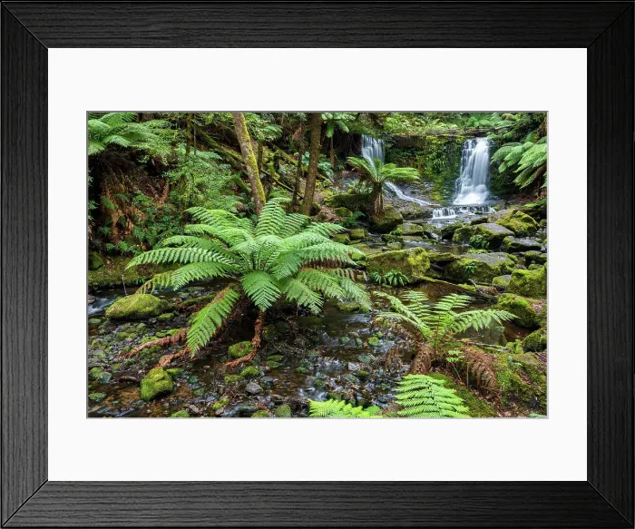 Framed Print : Australia, Tasmania, Mount Field National Park, Horseshoe Falls Framed Print : Australia, Tasmania, Mount Field National Park, Horseshoe Falls