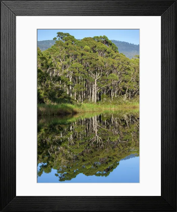Framed Print : Australia, Tasmania, Bruny Island, Captain Cook creek Framed Print : Australia, Tasmania, Bruny Island, Captain Cook creek
