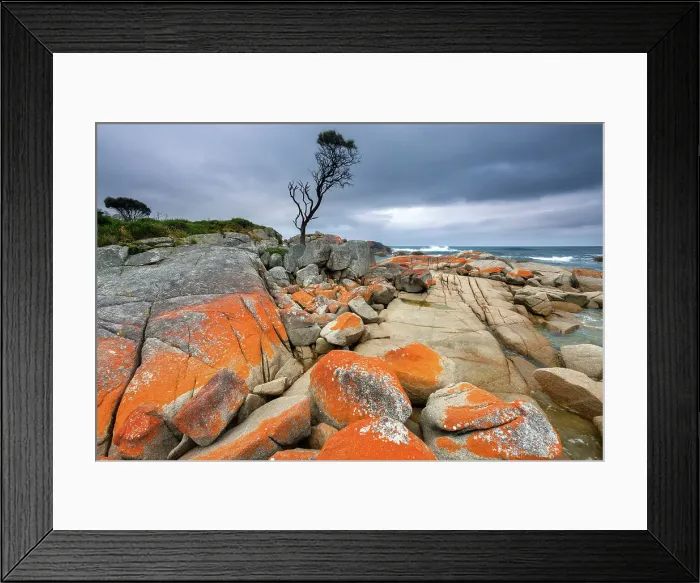Framed Print : Australia, Tasmania, Binalong Bay Framed Print : Australia, Tasmania, Binalong Bay