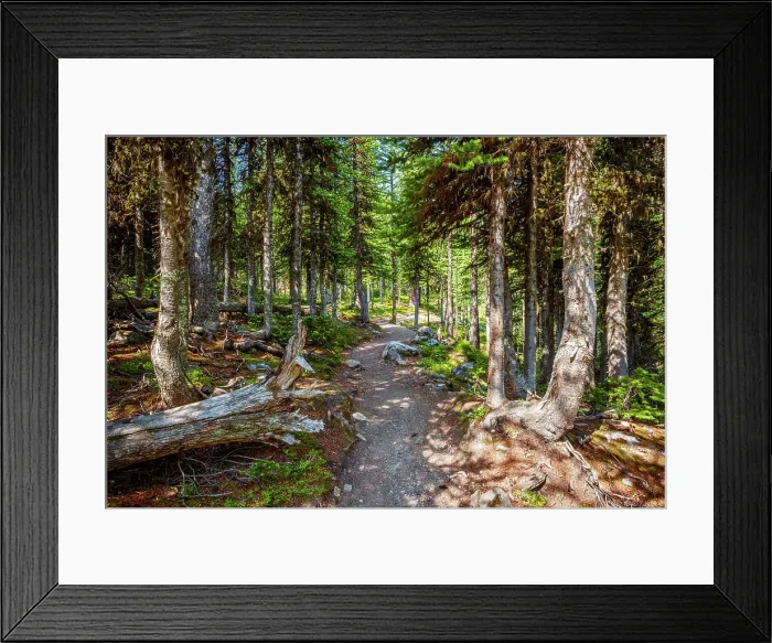 Framed Print : Larch Valley Hike Banff National Park, Canadian Rockies, Alberta, Canada. Banff National Park, Alberta, Canada Framed Print : Larch Valley Hike Banff National Park, Canadian Rockies, Alberta, Canada. Banff National Park, Alberta, Canada
