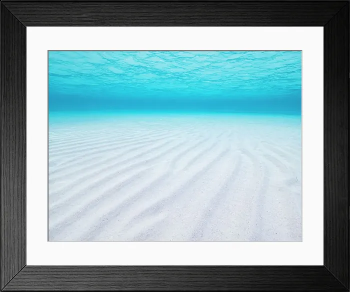 Framed Print : Stingray City Sandbar, Grand Cayman, Cayman Islands, BWI Framed Print : Stingray City Sandbar, Grand Cayman, Cayman Islands, BWI