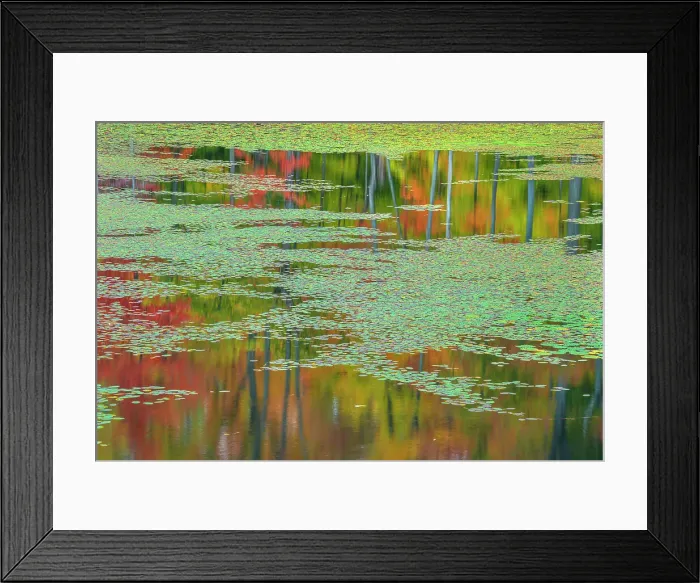 Framed Print : Autumn colour and reflections at woodland pond in Seguin Township, Ontario, Canada Framed Print : Autumn colour and reflections at woodland pond in Seguin Township, Ontario, Canada