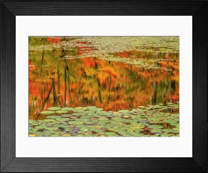 Framed Print : Autumn colour and reflections at woodland pond in Seguin Township, Ontario, Canada Framed Print : Autumn colour and reflections at woodland pond in Seguin Township, Ontario, Canada