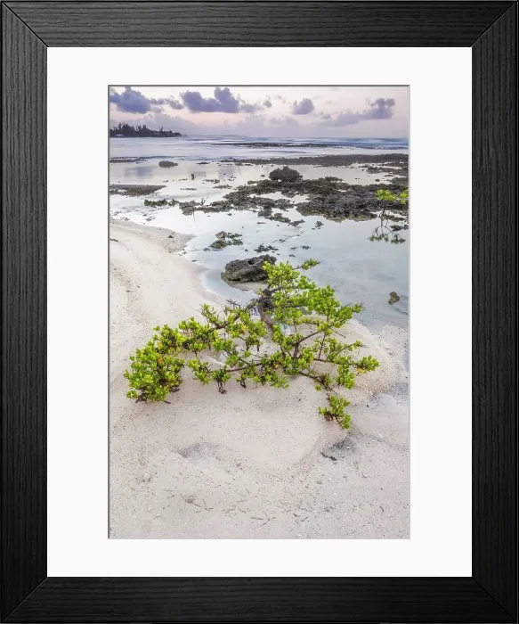 Framed Print : Daybreak on Grand Cayman, British West Indies Framed Print : Daybreak on Grand Cayman, British West Indies