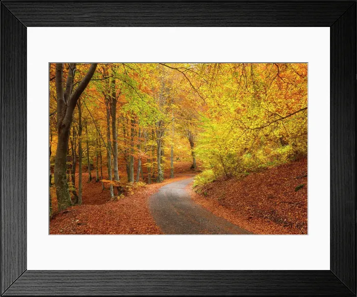 Framed Print : Autumn road in the forest. Ponna Superiore, Intelvi valley (val d'Intelvi), Como province, Lombardy, Italy Framed Print : Autumn road in the forest. Ponna Superiore, Intelvi valley (val d'Intelvi), Como province, Lombardy, Italy