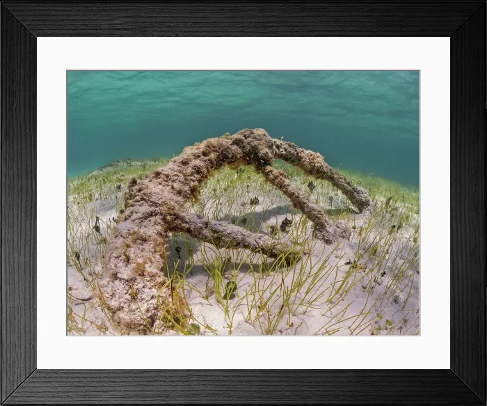 Framed Print : Wreck of the Geneva Kathleen, Grand Cayman, Cayman Islands, British West Indies Framed Print : Wreck of the Geneva Kathleen, Grand Cayman, Cayman Islands, British West Indies