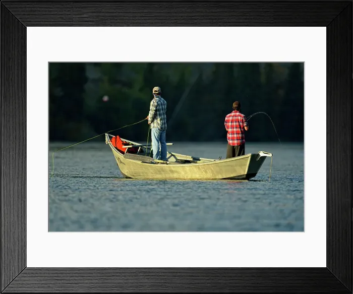 Framed Print : Grizzly bear viewing and photography from a boat Framed Print : Grizzly bear viewing and photography from a boat