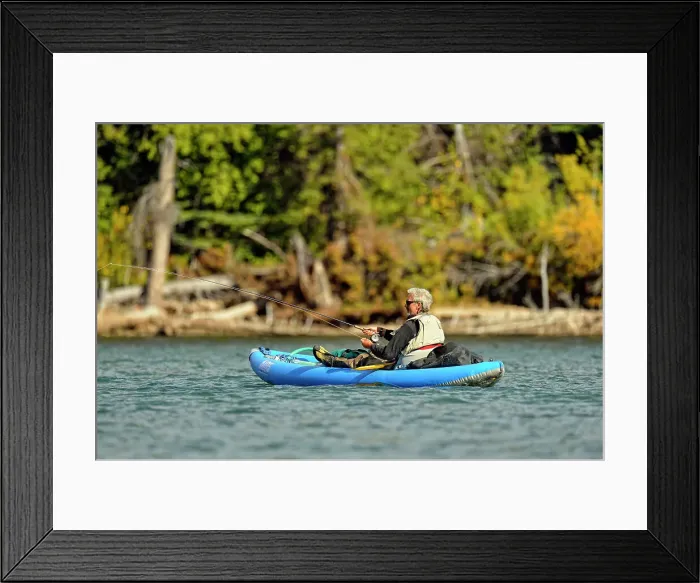 Framed Print : Grizzly bear viewing and photography from a boat Framed Print : Grizzly bear viewing and photography from a boat