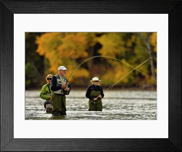 Framed Print : Grizzly bear viewing and photography from a boat Framed Print : Grizzly bear viewing and photography from a boat