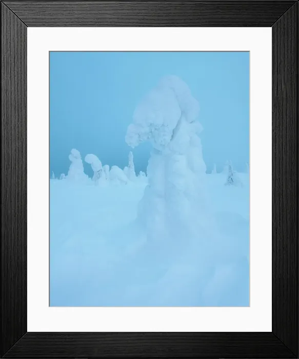 Framed Print : Hills of Riisitunturi National Park on a cold winter afternoon. Lapland, Northern Finland Framed Print : Hills of Riisitunturi National Park on a cold winter afternoon. Lapland, Northern Finland