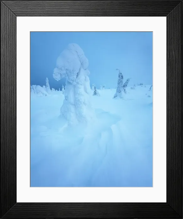 Framed Print : Hills of Riisitunturi National Park on a cold winter afternoon. Lapland, Northern Finland Framed Print : Hills of Riisitunturi National Park on a cold winter afternoon. Lapland, Northern Finland