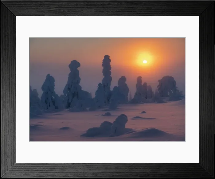 Framed Print : Foggy evening on the hills of Kuertunturi, in the Yllas-Pallastunturi National Park, Lapland, Finland