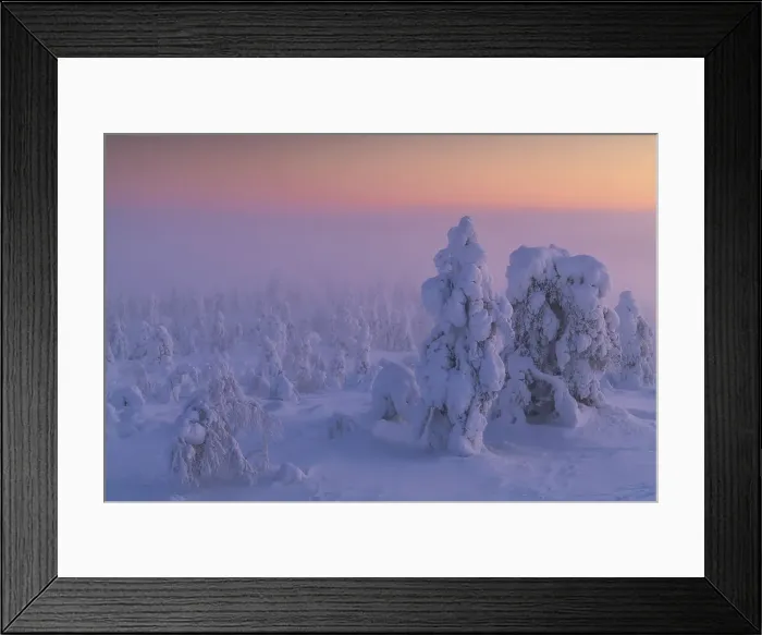 Framed Print : Foggy evening on the hills of Kuertunturi, in the Yllas-Pallastunturi National Park, Lapland, Finland Framed Print : Foggy evening on the hills of Kuertunturi, in the Yllas-Pallastunturi National Park, Lapland, Finland