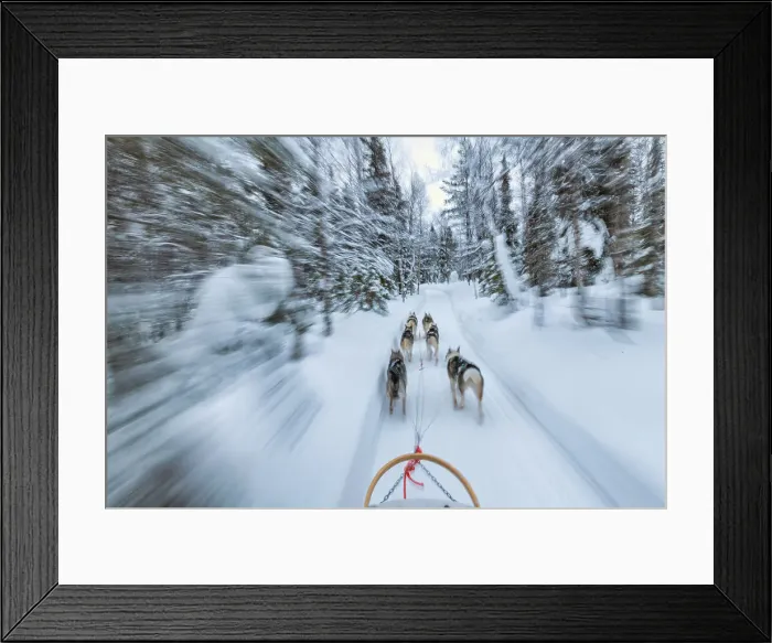Framed Print : Dog Sledding, Ruka, Lapland, Finland