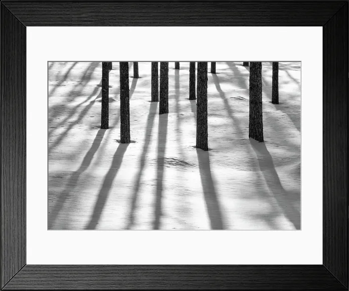 Framed Print : Pine Tree Shadows in Winter, near Ruka, Lapland, Finland Framed Print : Pine Tree Shadows in Winter, near Ruka, Lapland, Finland