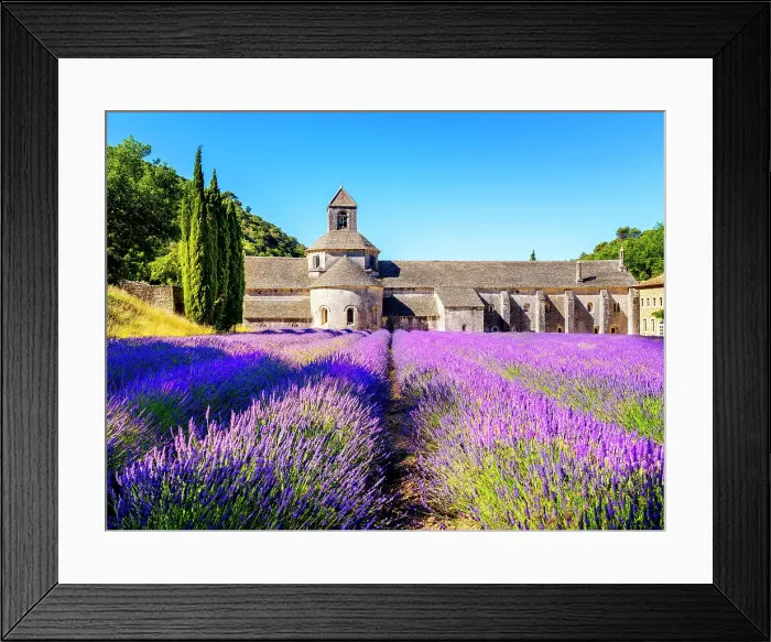Framed Print : Abbaye de Senanque, Lavender Field, Provence, Alpes Cotes d'Azur, France Framed Print : Abbaye de Senanque, Lavender Field, Provence, Alpes Cotes d'Azur, France