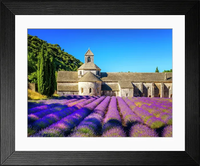 Framed Print : Abbaye de Senanque, Lavender Field, Provence, Alpes Cotes d'Azur, France Framed Print : Abbaye de Senanque, Lavender Field, Provence, Alpes Cotes d'Azur, France