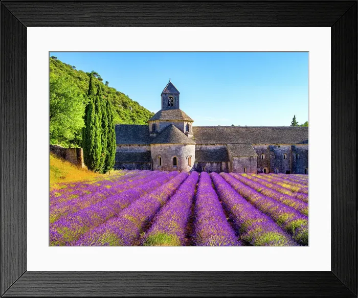 Framed Print : Abbaye de Senanque, Lavender Field, Provence, Alpes Cotes d'Azur, France Framed Print : Abbaye de Senanque, Lavender Field, Provence, Alpes Cotes d'Azur, France