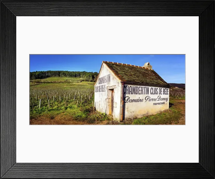 Framed Print : Vineyards of Gevrey Chambertin, Cote D'Or, Burgundy, France Framed Print : Vineyards of Gevrey Chambertin, Cote D'Or, Burgundy, France