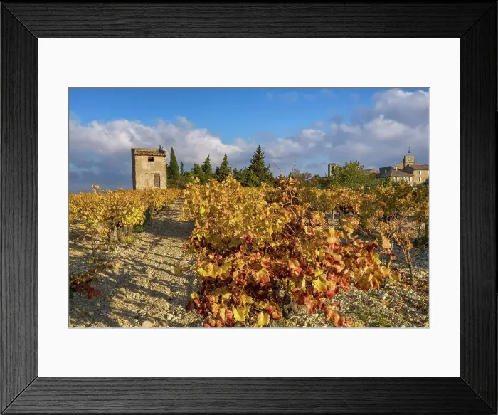 Framed Print : France, Provence, region Vaucluse, near Buisson village, autumn, vineyard Framed Print : France, Provence, region Vaucluse, near Buisson village, autumn, vineyard