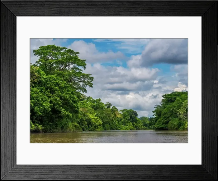 Framed Print : San Carlos River, Costa Rica Framed Print : San Carlos River, Costa Rica