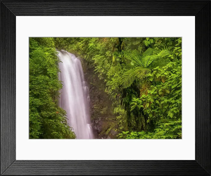 Framed Print : El Templo Waterfall on the La Paz River, Costa Rica Framed Print : El Templo Waterfall on the La Paz River, Costa Rica
