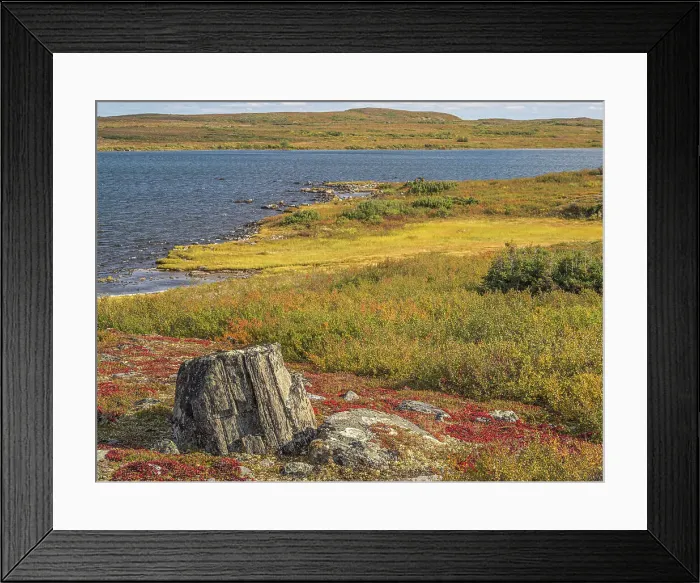 Framed Print : Wolf Lake in Autumn, Nunavik, Quebec, Canada Framed Print : Wolf Lake in Autumn, Nunavik, Quebec, Canada