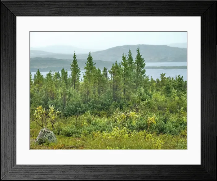 Framed Print : Tundra Habitat of the Ungava Peninsula, Nunavik, Quebec, Canada Framed Print : Tundra Habitat of the Ungava Peninsula, Nunavik, Quebec, Canada
