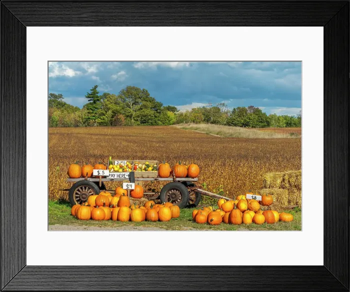 Framed Print : Farm produce for sale in a roadside stand, Thornton, Ontario, Canada