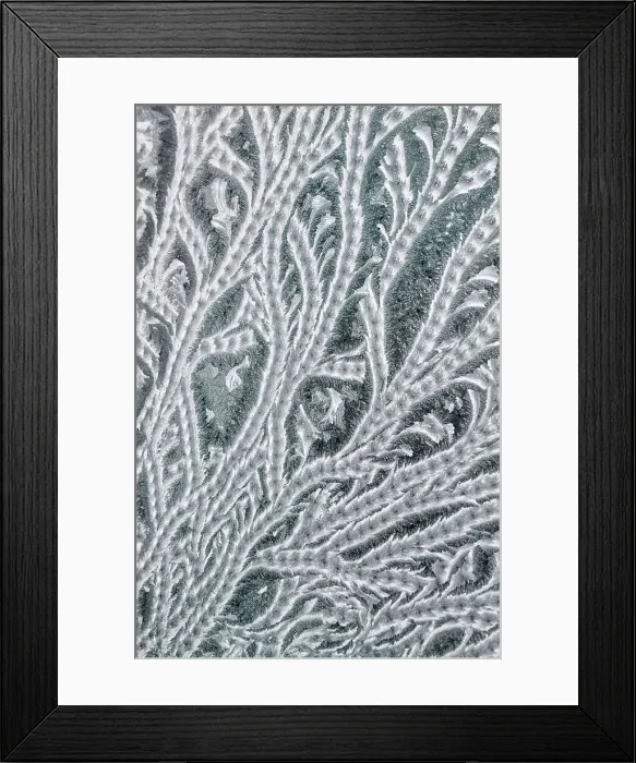 Framed Print : Frost on window pane, Thornton, Ontario, Canada Framed Print : Frost on window pane, Thornton, Ontario, Canada