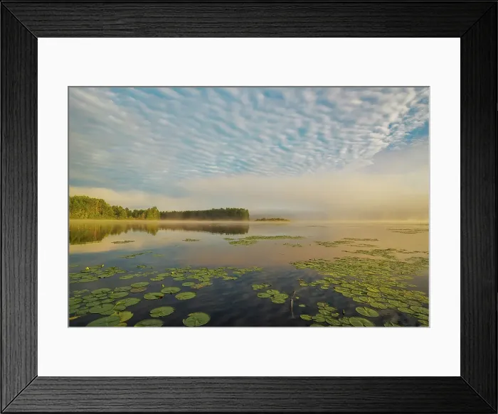 Framed Print : Daybreak on Lake Travers, Algonquin Provincial Park, Ontario, Canada