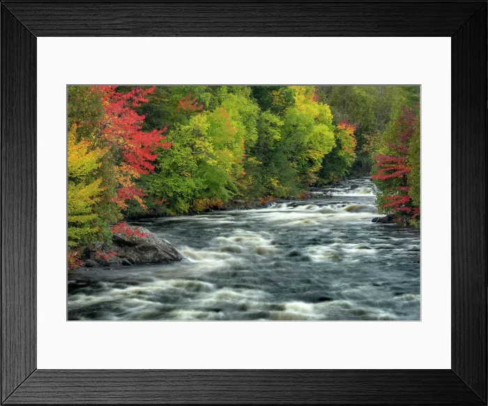 Framed Print : Autumn on the Petawawa River in Algonquin Provincial Park, Ontario, Canada Framed Print : Autumn on the Petawawa River in Algonquin Provincial Park, Ontario, Canada