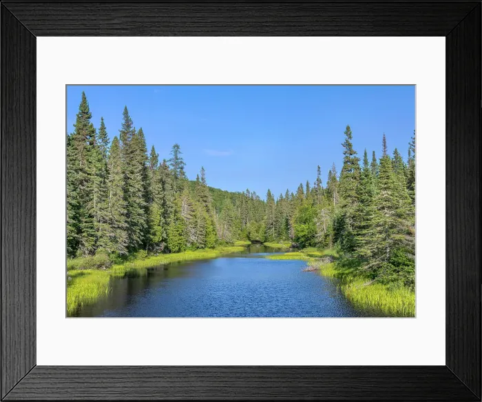Framed Print : Boreal Forest Wetland near Timmins, Ontario, Canada Framed Print : Boreal Forest Wetland near Timmins, Ontario, Canada