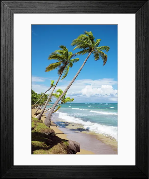 Framed Print : Las Terrenas Playa Bonita, Dominican Republic Framed Print : Las Terrenas Playa Bonita, Dominican Republic