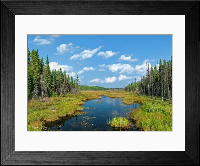 Framed Print : Boreal forest wetland near Timmins, Ontario Framed Print : Boreal forest wetland near Timmins, Ontario