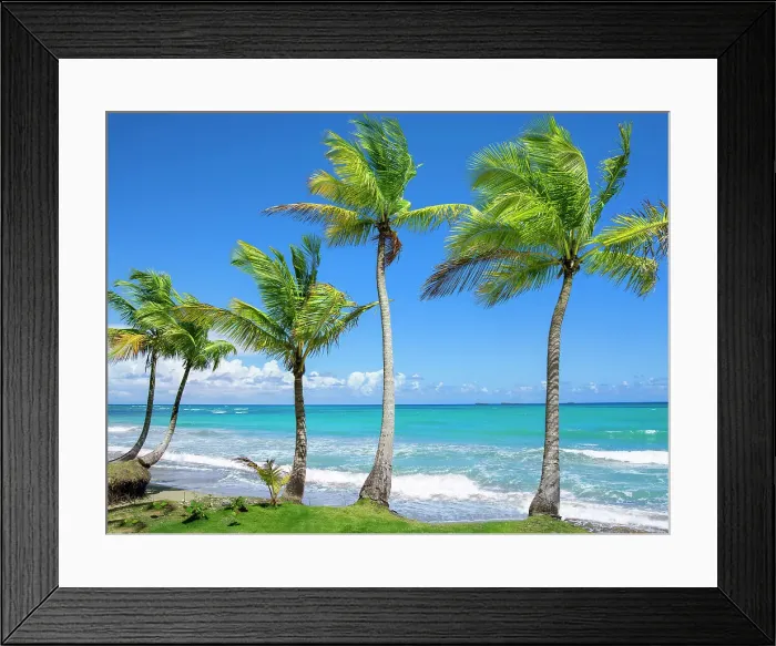 Framed Print : Las Terrenas, Playa Bonita, Dominican Republic Framed Print : Las Terrenas, Playa Bonita, Dominican Republic