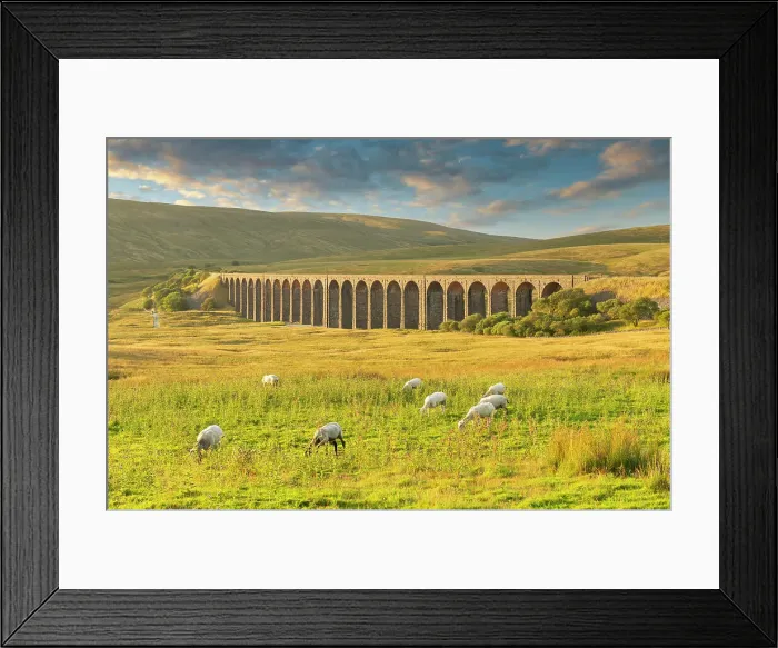Framed Print : Grazing Sheep & Ribbledale Viaduct, Yorkshire Dales National Park, England