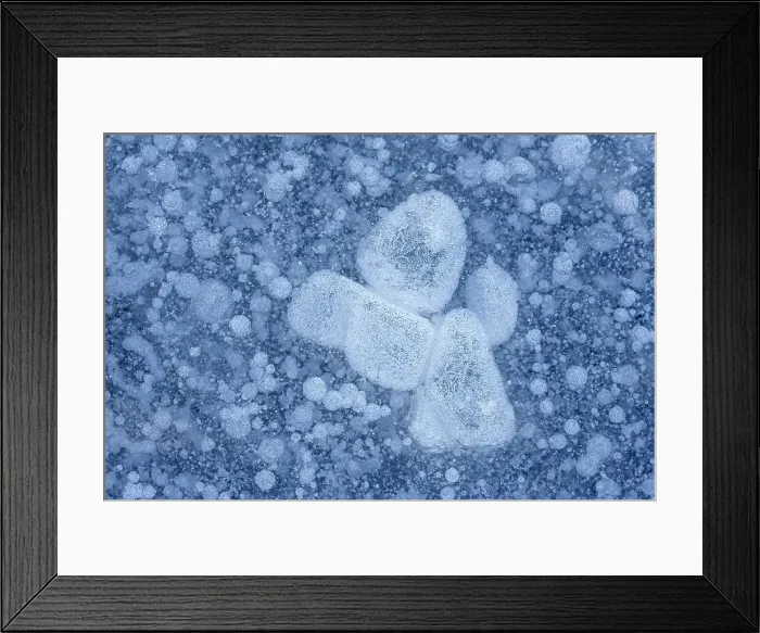 Framed Print : Bubbles frozen in pond surface, Thornton, Ontario, Canada Framed Print : Bubbles frozen in pond surface, Thornton, Ontario, Canada