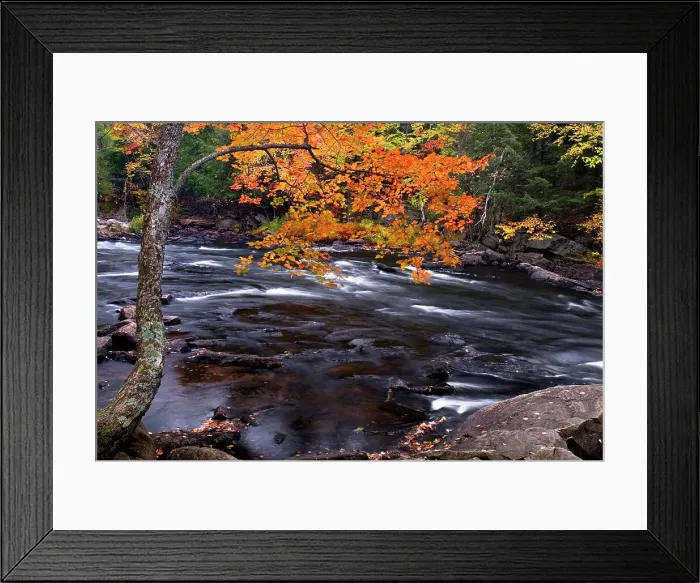Framed Print : Autumn on the Oxtongue River, Dwight, Ontario, Canada Framed Print : Autumn on the Oxtongue River, Dwight, Ontario, Canada