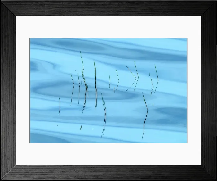 Framed Print : Reeds and surface pattern on Horseshoe Lake, Muskoka, Ontario, Canada Framed Print : Reeds and surface pattern on Horseshoe Lake, Muskoka, Ontario, Canada