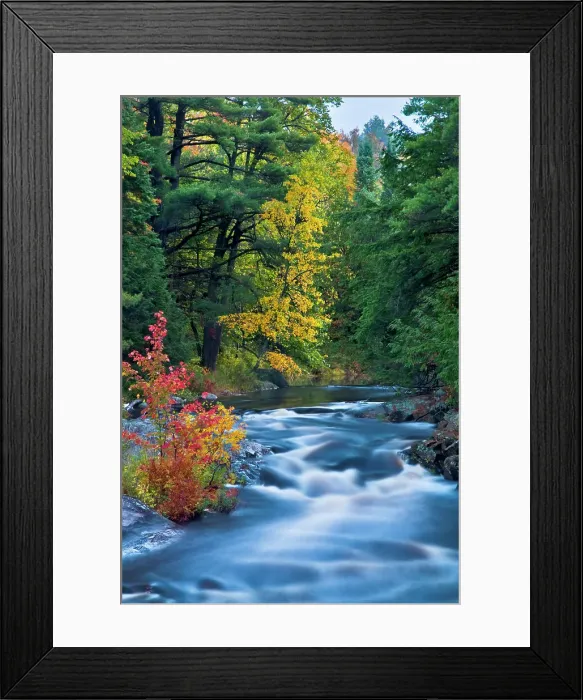 Framed Print : Autumn on the Rosseau River, Muskoka, Ontario, Canada Framed Print : Autumn on the Rosseau River, Muskoka, Ontario, Canada