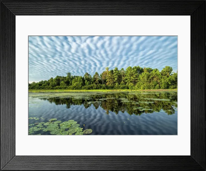 Framed Print : Early morning reflections on Lake Travers in Algonquin Provincial Park, Ontario, Canada Framed Print : Early morning reflections on Lake Travers in Algonquin Provincial Park, Ontario, Canada